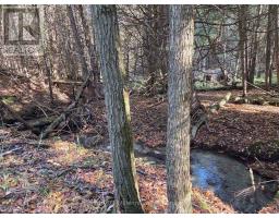 627383 15 SIDE ROAD - 3