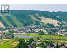 114 - 184 SNOWBRIDGE WAY - 30