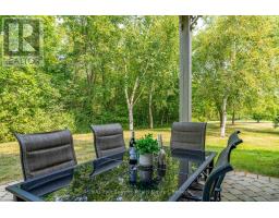 114 - 184 SNOWBRIDGE WAY - 33