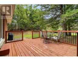 4620 20 SIDE ROAD N - 38