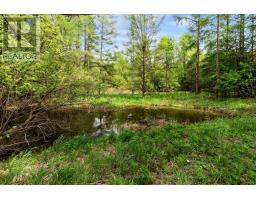 390 PARADISE LAKE STREET - 45