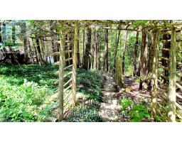159 MAPLE HILL ROAD - 2