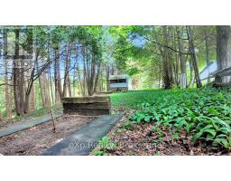 159 MAPLE HILL ROAD - 21