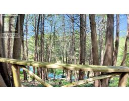 159 MAPLE HILL ROAD - 27