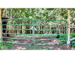 159 MAPLE HILL ROAD - 29