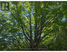 PT LT 12 PART 1 18 GREY ROAD - 10