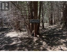 PT LT 12 PART 1 18 GREY ROAD - 13