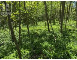 PT LT 12 PART 1 18 GREY ROAD - 3