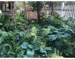 1145 QUEEN STREET - 34