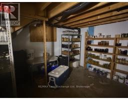 559 BERVIE SIDE ROAD - 34