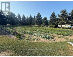 559 BERVIE SIDE ROAD - 44