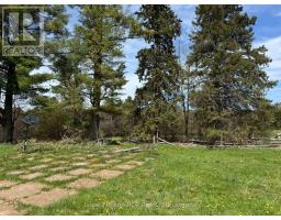 600457 50 SIDE ROAD - 9