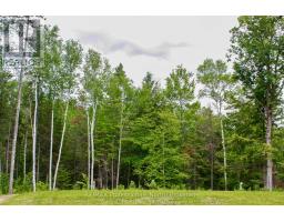 511 BRETHOUR ROAD - 38