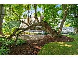 262 DINSLEY STREET - 6