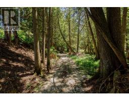174386 LOWER VALLEY ROAD - 23