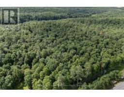 1170 MUSKOKA 117 ROAD - 28