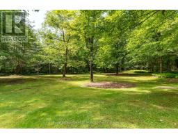 1170 MUSKOKA 117 ROAD - 3
