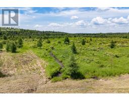530 CLEARWATER LAKE ROAD - 16