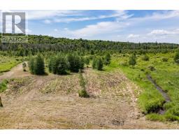 530 CLEARWATER LAKE ROAD - 17