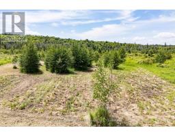 530 CLEARWATER LAKE ROAD - 19