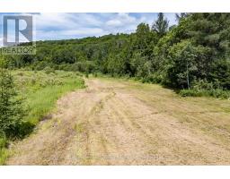 530 CLEARWATER LAKE ROAD - 23