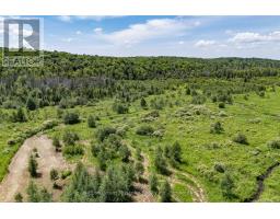 530 CLEARWATER LAKE ROAD - 24