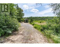 530 CLEARWATER LAKE ROAD - 28