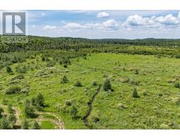530 CLEARWATER LAKE ROAD - 30