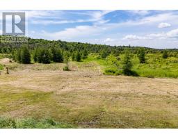 530 CLEARWATER LAKE ROAD - 8