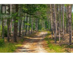 165 JAMES CAMP ROAD - 46