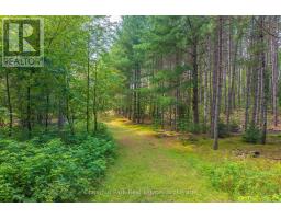 165 JAMES CAMP ROAD - 47