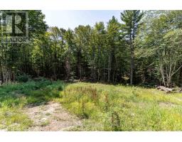 1265 BRITANNIA ROAD - 42