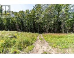 1265 BRITANNIA ROAD - 43
