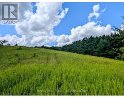 4350 WATSON ROAD S - 13