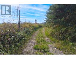 31313 GREY ROAD 14 ROAD - 10