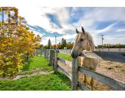 465 RIDGE ROAD E - 2