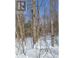 PTLT 26 MULOCK ROAD - 3