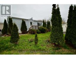 6 OLYMPIA AVENUE - 2