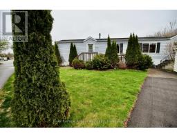6 OLYMPIA AVENUE - 5