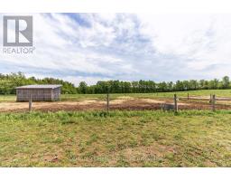 525197 ARTEMESIA-EUPHRASIA TOWNLINE - 15