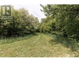 525197 ARTEMESIA-EUPHRASIA TOWNLINE - 17