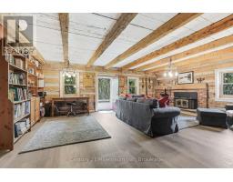 525197 ARTEMESIA-EUPHRASIA TOWNLINE - 25