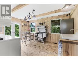 525197 ARTEMESIA-EUPHRASIA TOWNLINE - 32