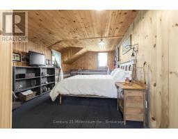 525197 ARTEMESIA-EUPHRASIA TOWNLINE - 38