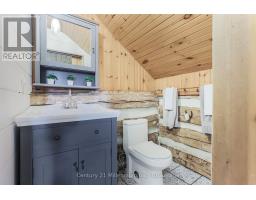 525197 ARTEMESIA-EUPHRASIA TOWNLINE - 41