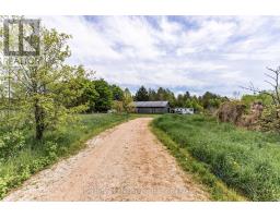 525197 ARTEMESIA-EUPHRASIA TOWNLINE - 45