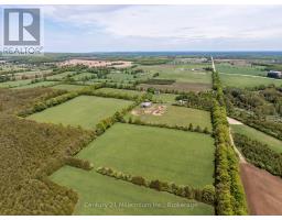 525197 ARTEMESIA-EUPHRASIA TOWNLINE - 7