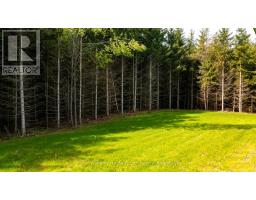 537266 MAIN STREET - 46