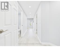 45 CLYDE STREET - 34