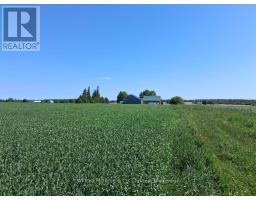 39529 BELGRAVE ROAD - 6